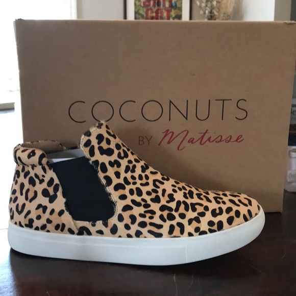coconuts by matisse harlan leopard